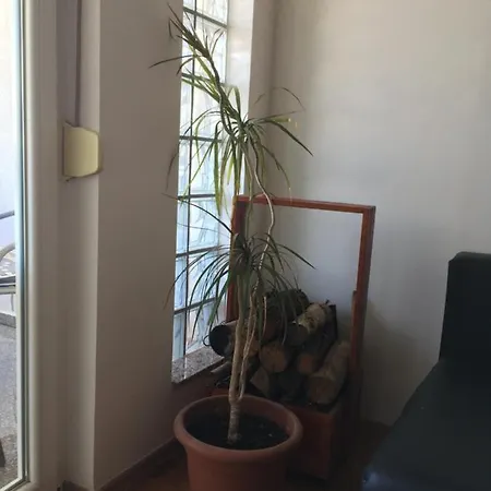 Tin Apartment *